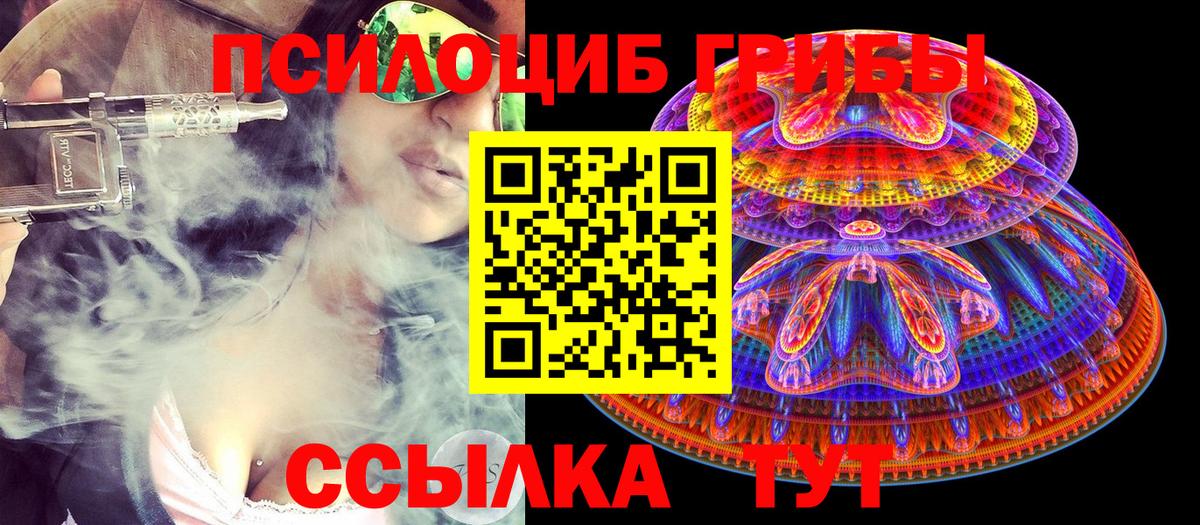 Галлюциногенные грибы прущие грибы Шебекино